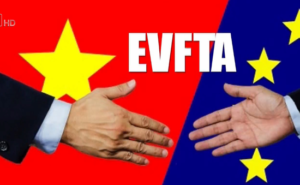 Điểm mặt những lỗi ở hệ thống đánh lửa xe ô tô thường gặp